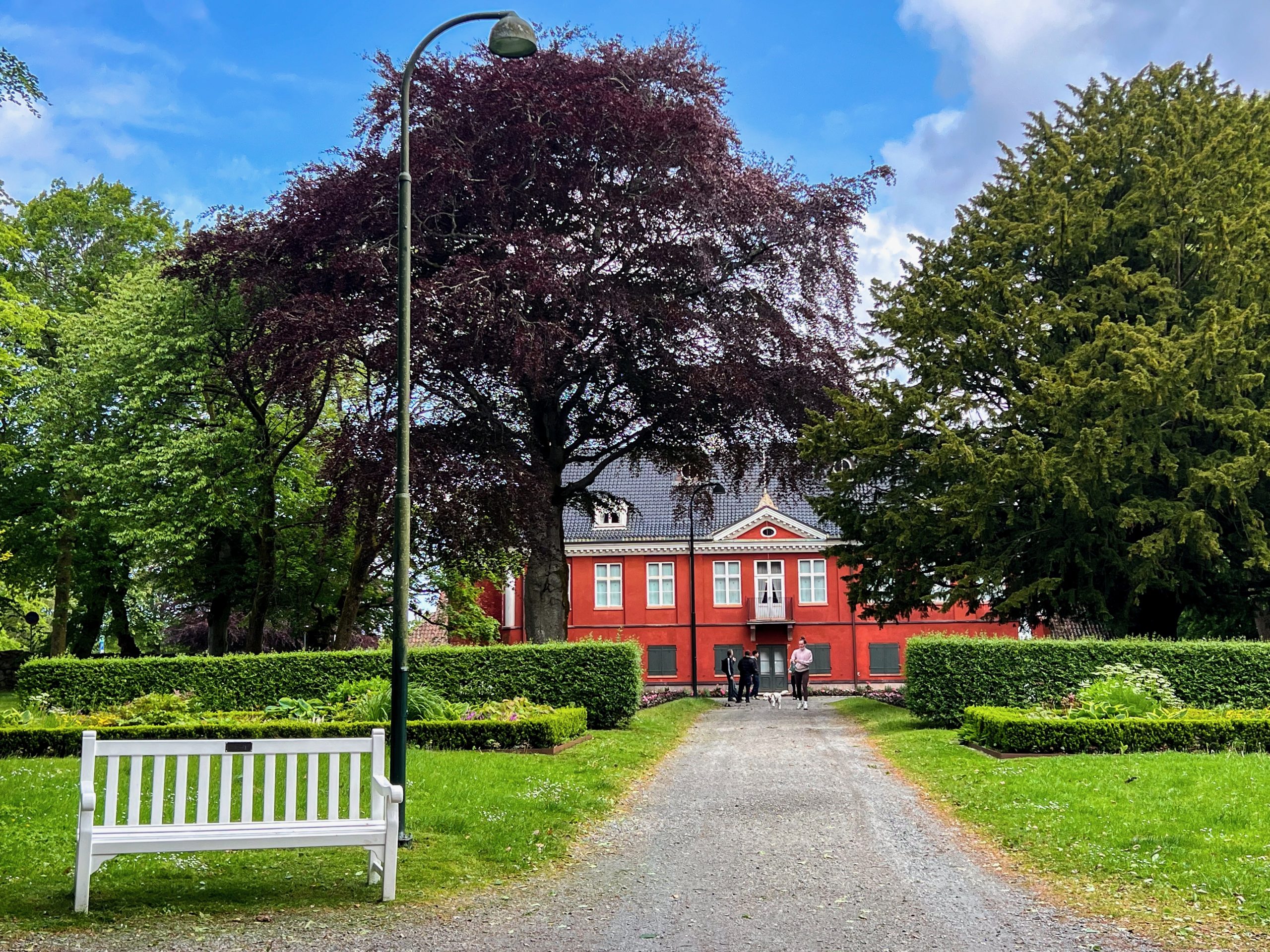 stavanger, fiordos noruegos, noruega, oslo, vitali tours, europa a pie