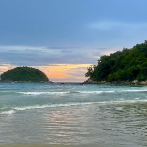 IMG_1399